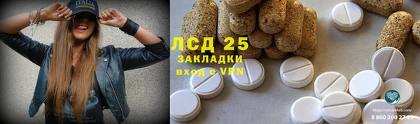 MESCALINE Алзамай