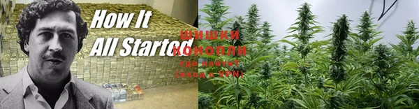 MESCALINE Алзамай